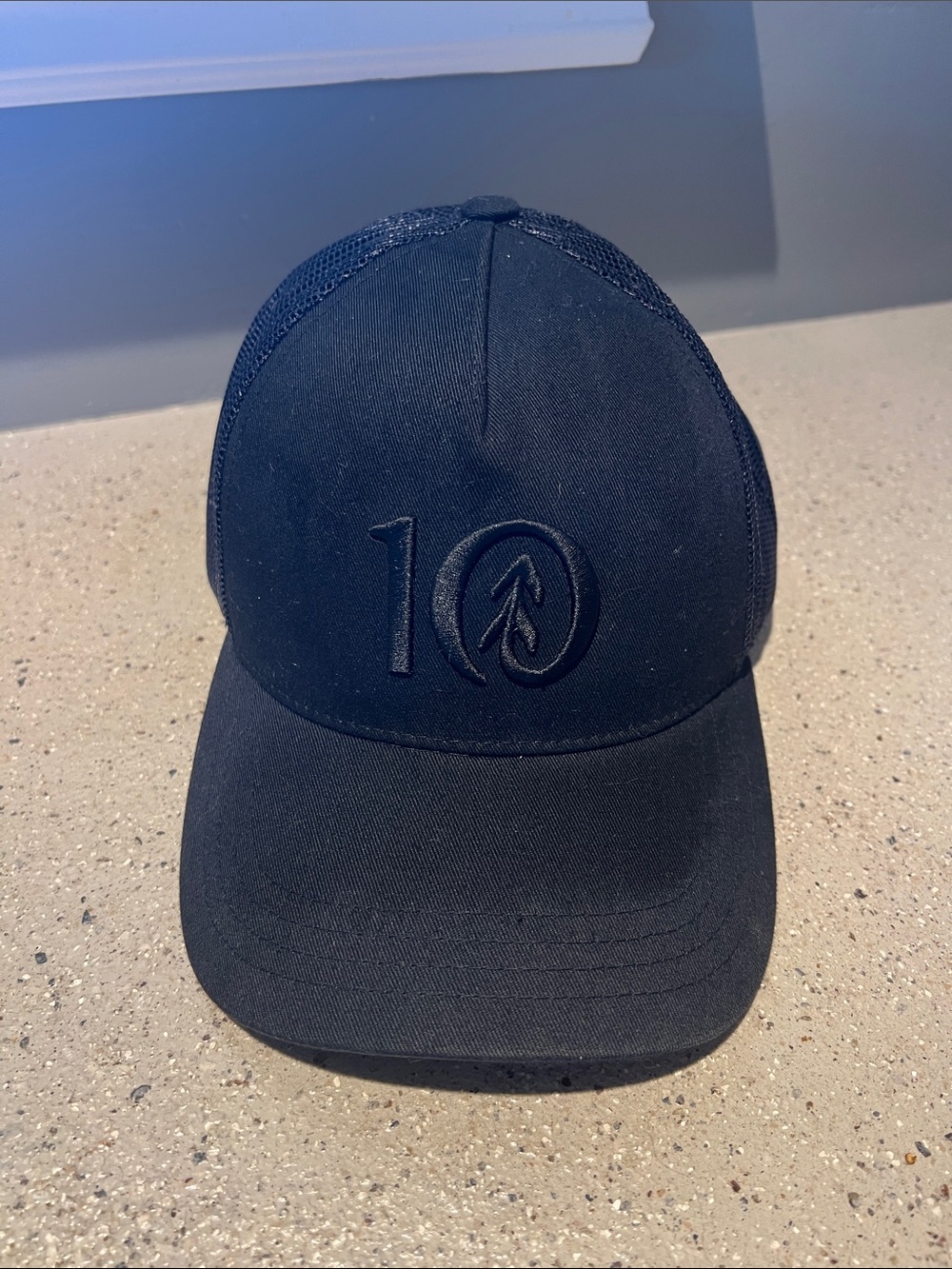 tentree Black Embroidered '10' Trucker Hat